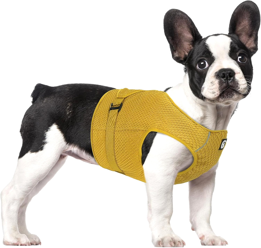 Dog Cooling Vest Harness Lightweight Cooler Jacket Sz Med w Adjustable Buckle